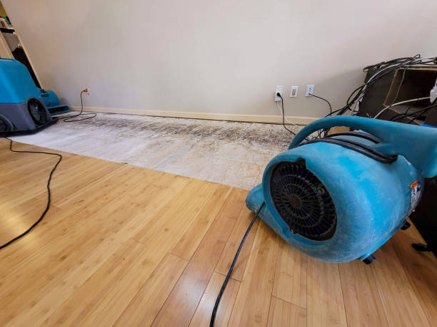 Professional Structural Drying technician working in Millbrook, IL